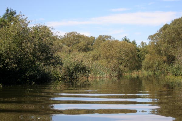 Killikus® Fotographie Killikus® Fotographie